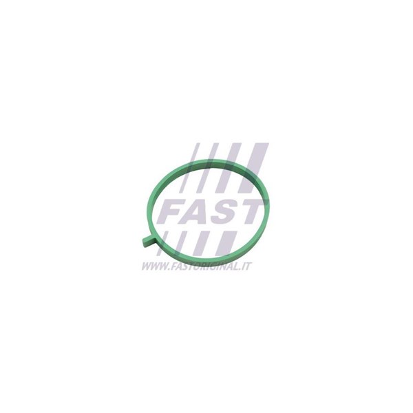 Packning, insugsgrenrör Fast FT49472 FAST