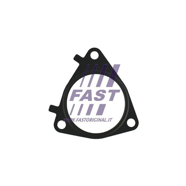 Packning EGR-ventil Fast FT49546 FAST