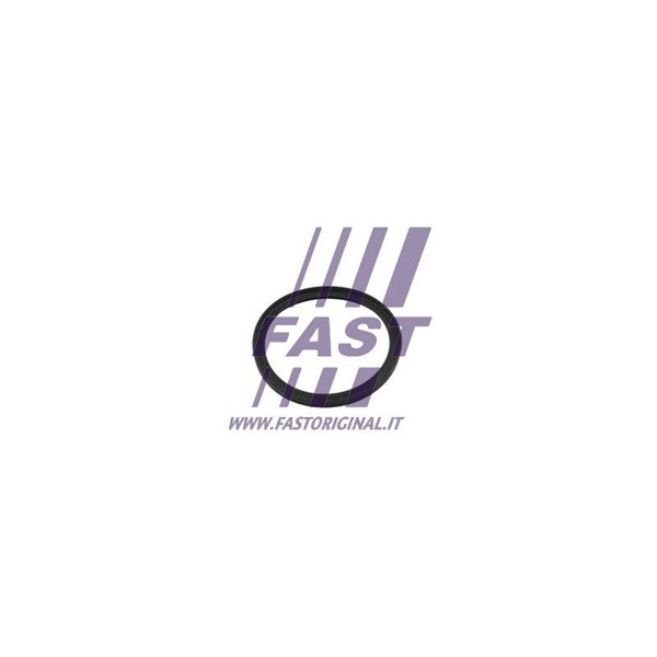 Ringpackning, överladdare Fast FT49854 FAST Ringpackning, överladdare Fast FT49854 FAST