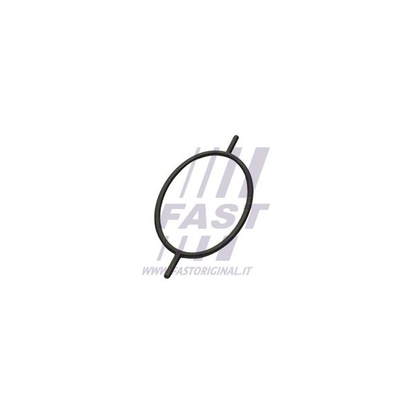 Packning, vakuumpump Fast FT49923 FAST
