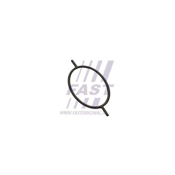 Packning, vakuumpump Fast FT49923 FAST