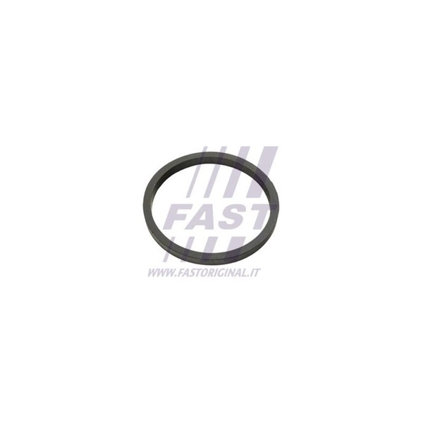 Ringpackning, oljekylare Fast FT49924 FAST