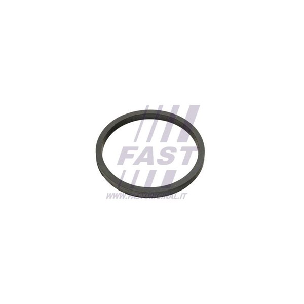 Ringpackning, oljekylare Fast FT49924 FAST