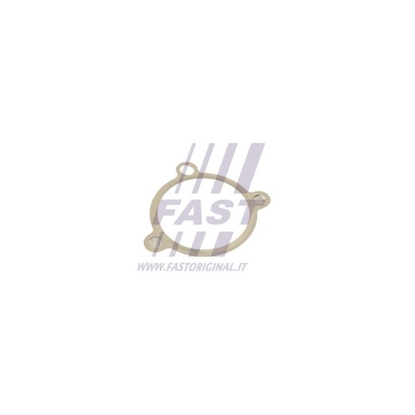 Packning EGR-ventil Fast FT50605 FAST Packning EGR-ventil Fast FT50605 FAST
