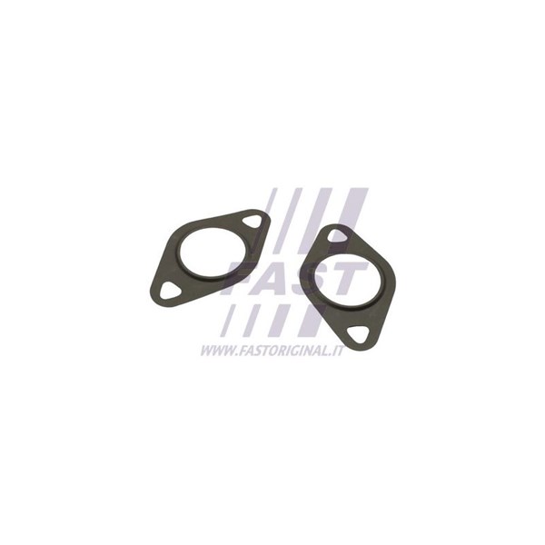 Packning EGR-ventil Fast FT50608 FAST