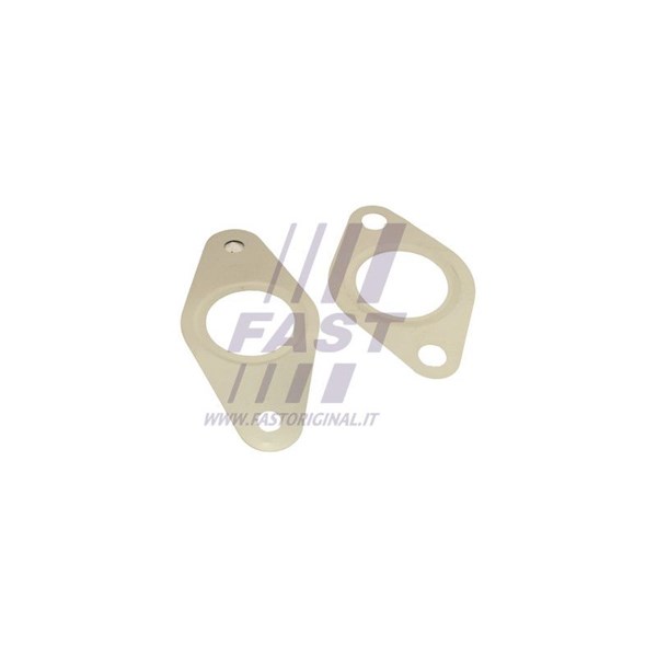Packningssats, EGR-system Fast FT50621 FAST