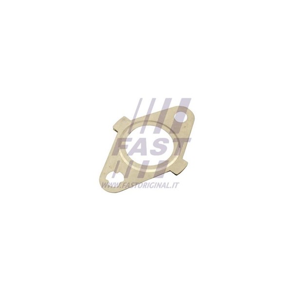 Packning EGR-ventil Fast FT50627 FAST