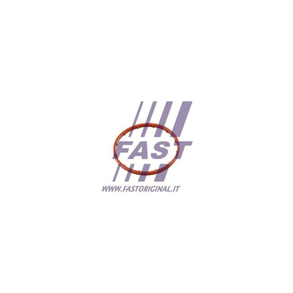Packning, vakuumpump Fast FT50701 FAST