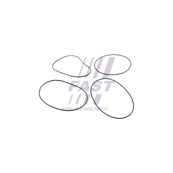 O-ringssats, cylinderfoder Fast FT50751 FAST