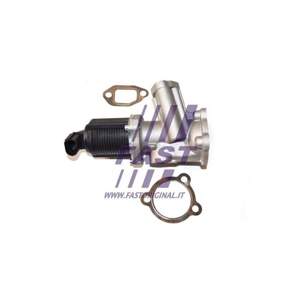 Egr-ventil 12V Fast FT60236 FAST