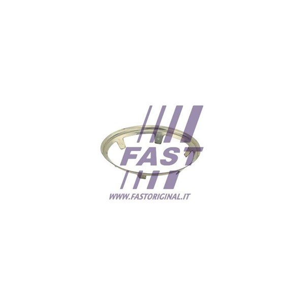 Packning, avgasrör, Ingång Fast FT84822 FAST