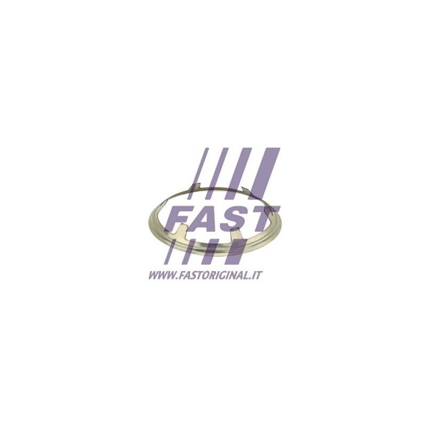 Packning, avgasrör, Ingång Fast FT84822 FAST
