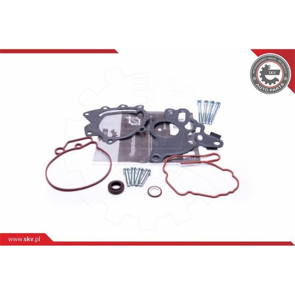Rep.sats, vakumpump (bromsar) Esen skv 18SKV804 ESEN SKV