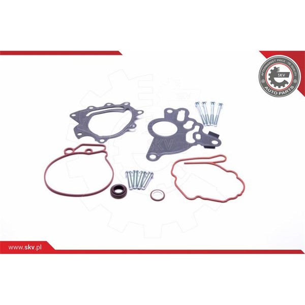 Rep.sats, vakumpump (bromsar) Esen skv 18SKV804 ESEN SKV