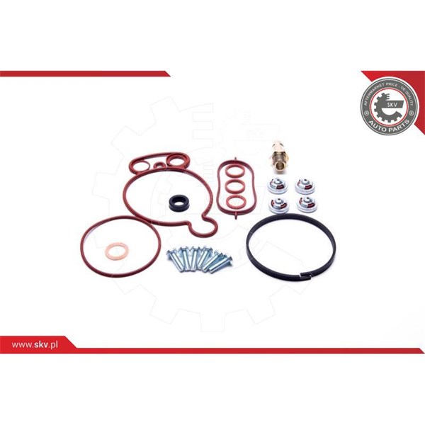 Rep.sats, vakumpump (bromsar) Esen skv 18SKV805 ESEN SKV
