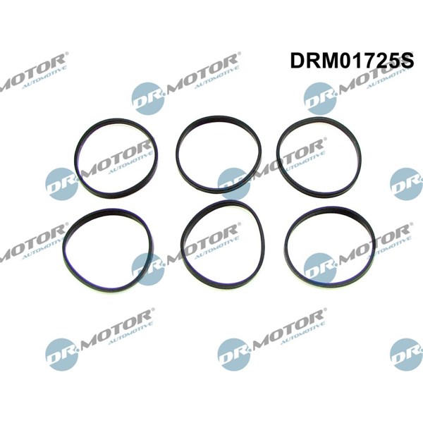 Packningssats, insug, grenrör Dr.motor automotive DRM01725S Dr.Motor Automotive