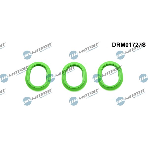Packningssats, insug, grenrör Dr.motor automotive DRM01727S Dr.Motor Automotive
