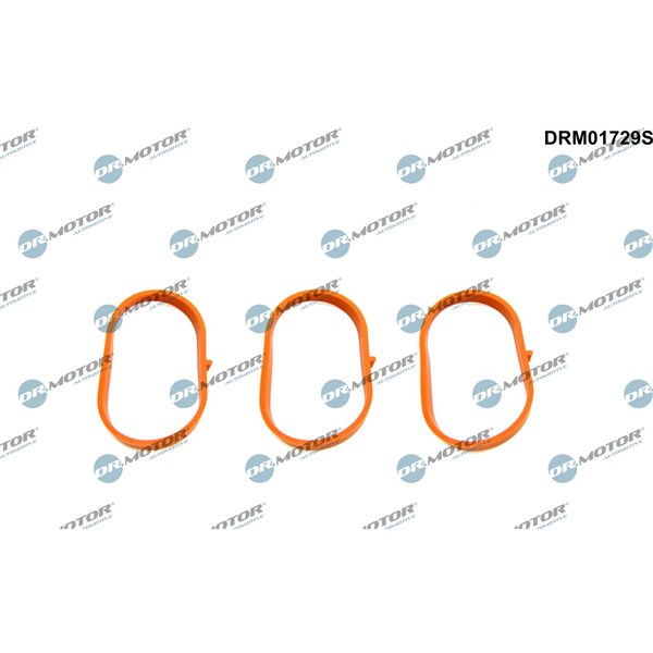 Packningssats, insug, grenrör Dr.motor automotive DRM01729S Dr.Motor Automotive Packningssats, insug, grenrör Dr.motor automotive DRM01729S Dr.Motor Automotive
