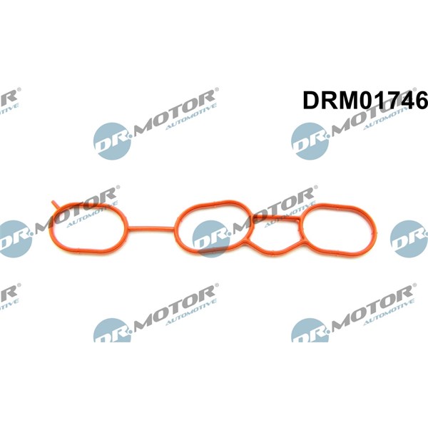 Packning, insugsgrenrör Dr.motor automotive DRM01746 Dr.Motor Automotive