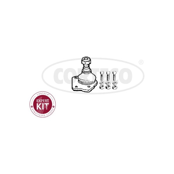 Kulled / Spindelled, framaxel höger, framaxel vänster, Nedre Cort CORTECO Kulled / Spindelled, framaxel höger, framaxel vänster, Nedre Cort CORTECO