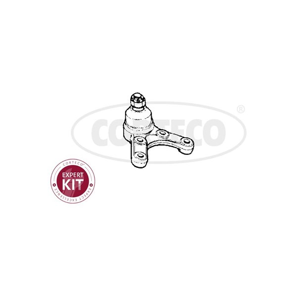 Kulled / Spindelled, Nedre framaxel, framaxel höger, framaxel vän CORTECO Kulled / Spindelled, Nedre framaxel, framaxel höger, framaxel vän CORTECO