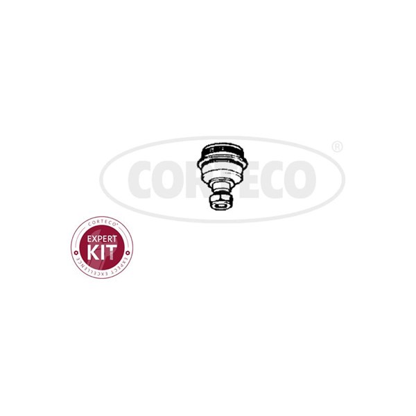 Kulled / Spindelled, framaxel höger, framaxel vänster, Nedre, Upp CORTECO Kulled / Spindelled, framaxel höger, framaxel vänster, Nedre, Upp CORTECO