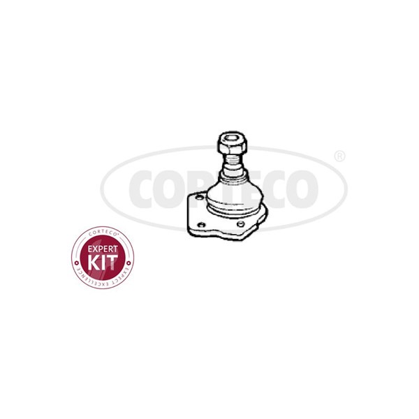 Kulled / Spindelled, framaxel höger, framaxel vänster, Nedre Cort CORTECO Kulled / Spindelled, framaxel höger, framaxel vänster, Nedre Cort CORTECO