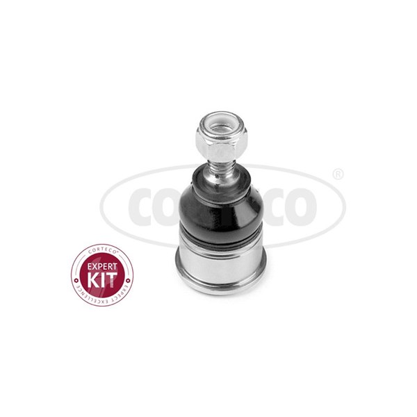 Kulled / Spindelled, framaxel höger, framaxel vänster, Nedre Cort CORTECO Kulled / Spindelled, framaxel höger, framaxel vänster, Nedre Cort CORTECO