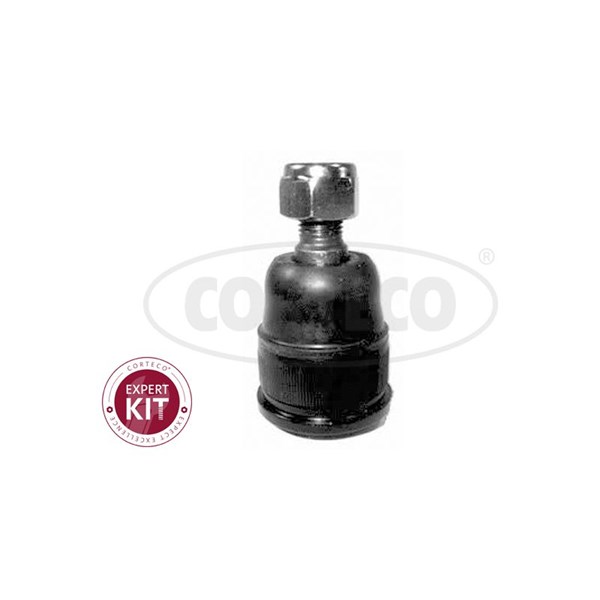 Kulled / Spindelled, framaxel höger, framaxel vänster, Nedre Cort CORTECO Kulled / Spindelled, framaxel höger, framaxel vänster, Nedre Cort CORTECO