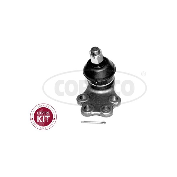 Kulled / Spindelled, Nedre framaxel, framaxel höger, framaxel vän CORTECO Kulled / Spindelled, Nedre framaxel, framaxel höger, framaxel vän CORTECO