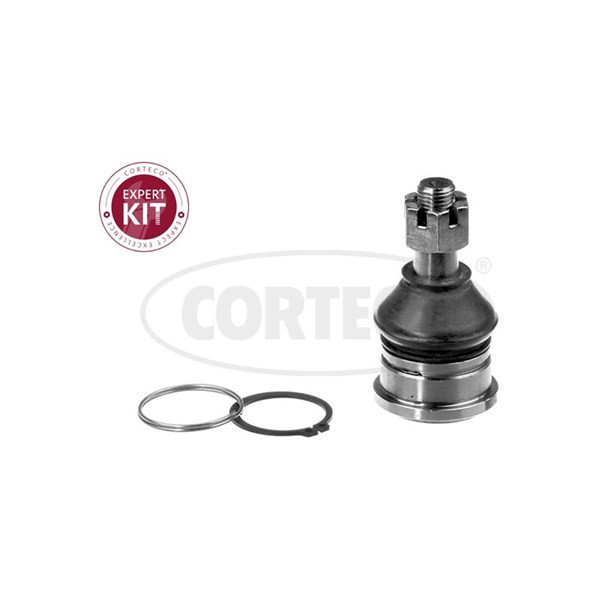Kulled / Spindelled, framaxel höger, framaxel vänster, Nedre Cort CORTECO Kulled / Spindelled, framaxel höger, framaxel vänster, Nedre Cort CORTECO