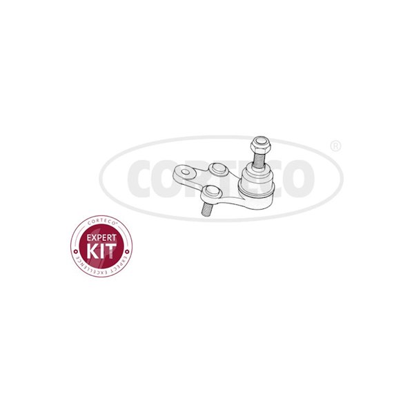 Kulled / Spindelled, framaxel vänster, Nedre Corteco 49395999 CORTECO