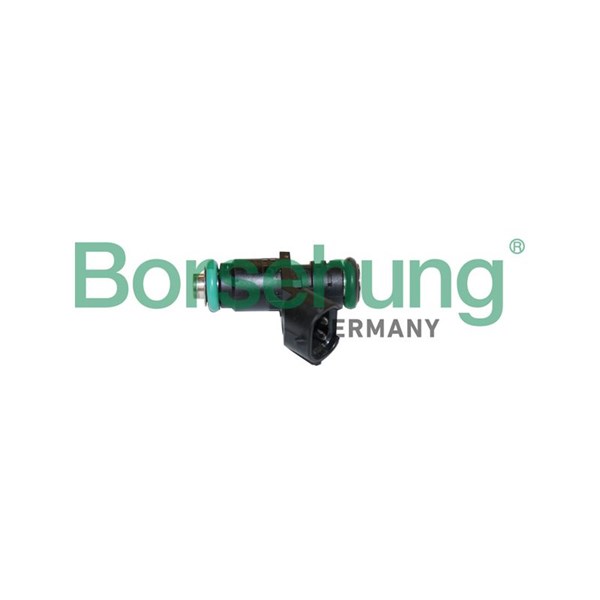 Insprutningsventil Borsehung B11165 Borsehung