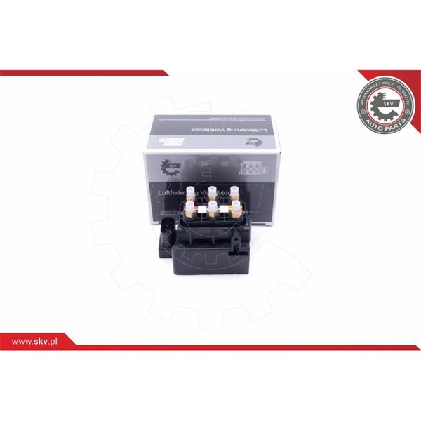 Ventil, kompressorsystem Esen skv 93SKV801 ESEN SKV