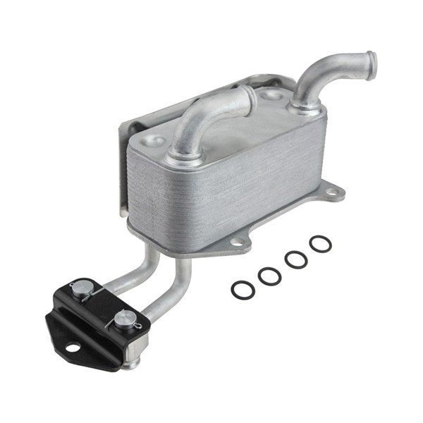 Oljekylare, motor Nty CCL-FR-031 NTY