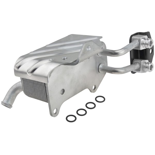 Oljekylare, motor Nty CCL-FR-031 NTY Oljekylare, motor Nty CCL-FR-031 NTY