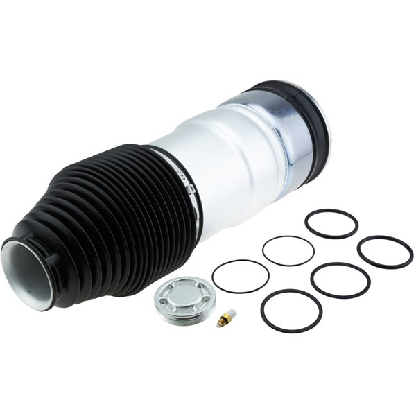 Luftfjäder, hjulupphängning, Bakaxel, båda sidor Nty EZC-CH-065 NTY