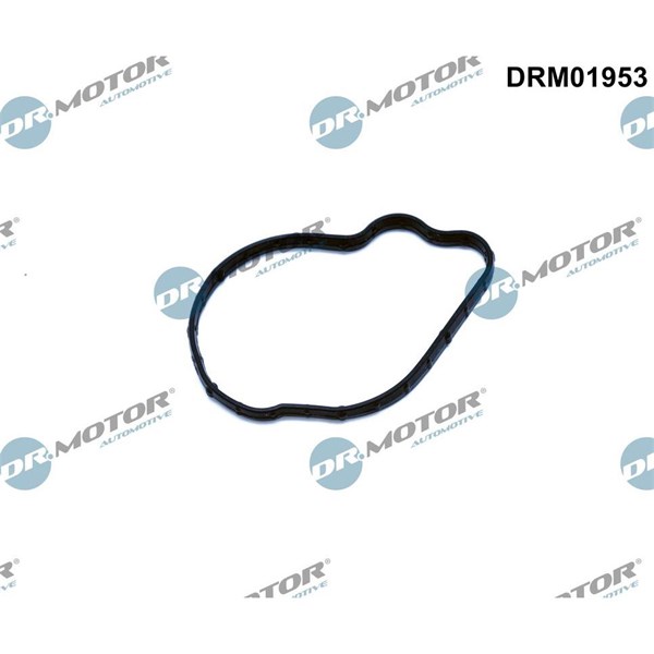 Packning, insprutningspump Dr.motor automotive DRM01953 Dr.Motor Automotive