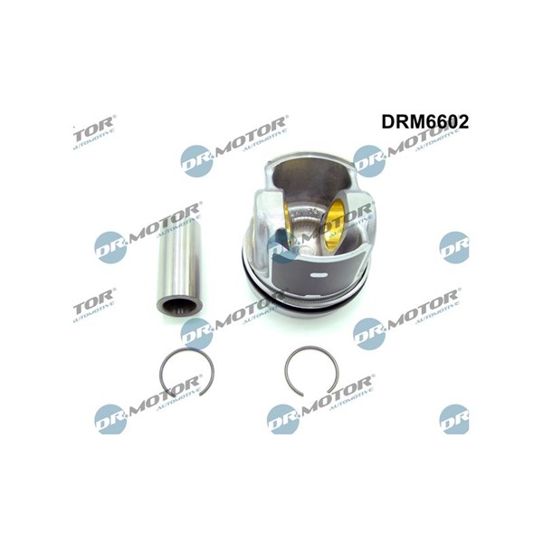 Delmotor Dr.motor automotive DRM6602 Dr.Motor Automotive