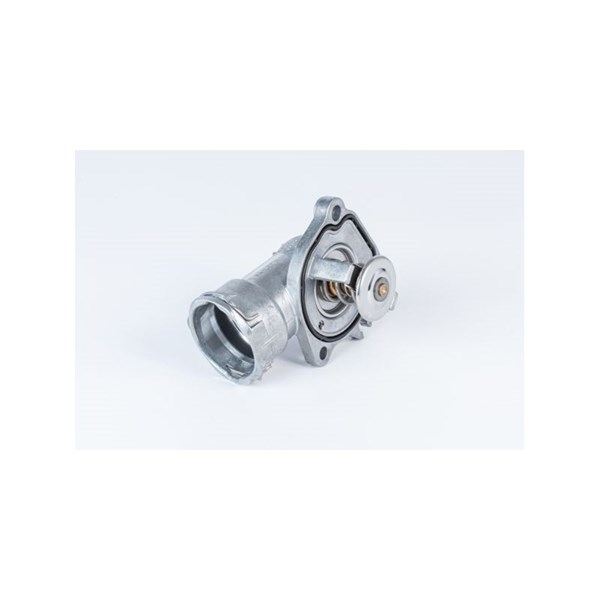 Termostat, kylvätska Borgwarner (wahler) 4490.87D BorgWarner (Wahler)