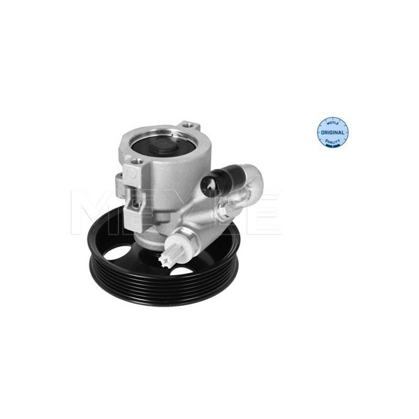 Servopump Meyle 29-14 631 0005 MEYLE Servopump Meyle 29-14 631 0005 MEYLE