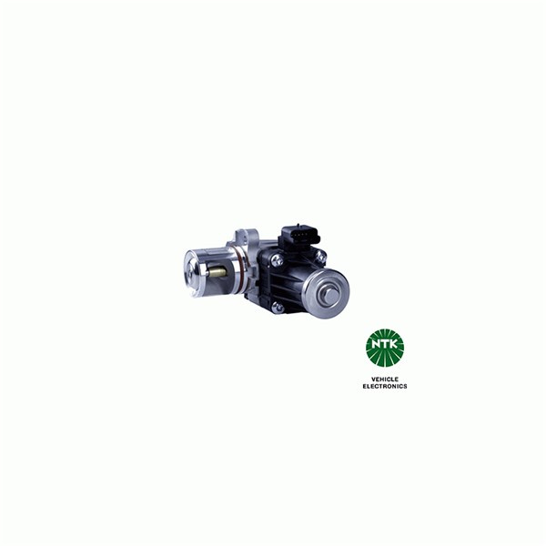 Egr-ventil