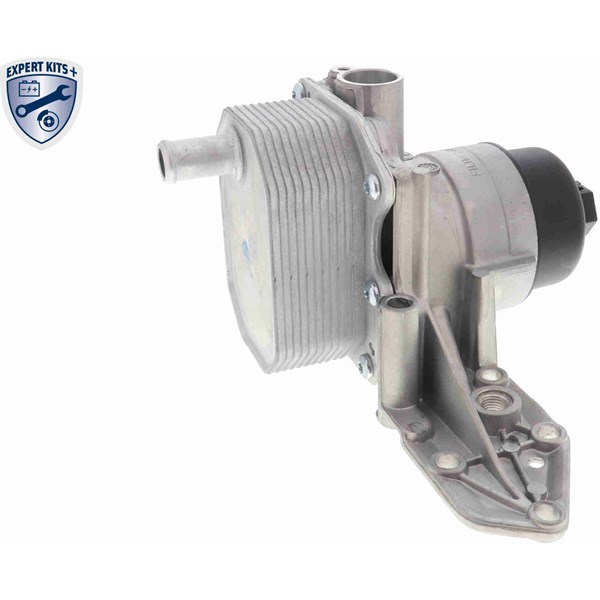 Oljekylare, motor