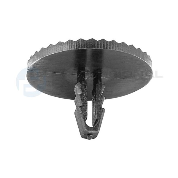 Clip, list