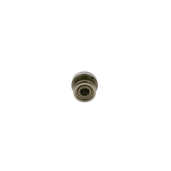 Frihjulsväxel, startmotor Bosch 1 006 209 796 BOSCH Frihjulsväxel, startmotor Bosch 1 006 209 796 BOSCH