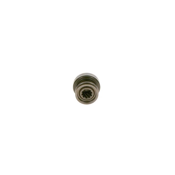 Frihjulsväxel, startmotor Bosch 1 006 209 981 BOSCH Frihjulsväxel, startmotor Bosch 1 006 209 981 BOSCH
