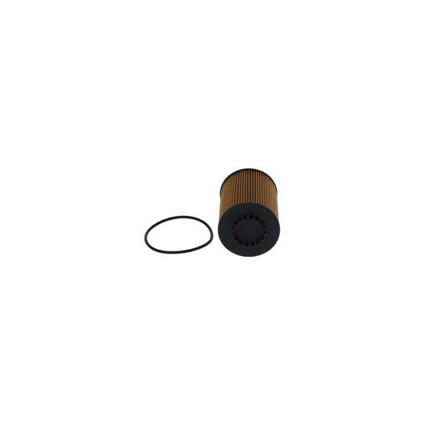 Oljefilter Bosch F 026 407 320 BOSCH Oljefilter Bosch F 026 407 320 BOSCH