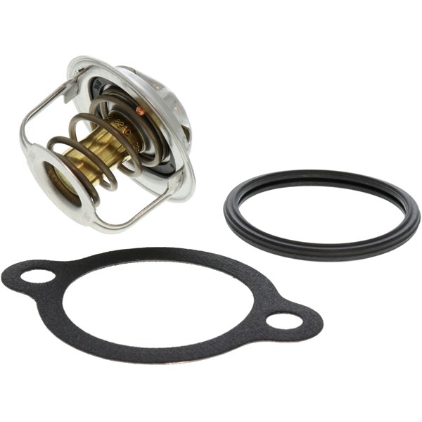 Termostat, kylvätska Expert kits +