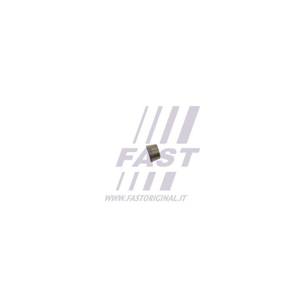Ventils�äkringskil Fast FT43801 FAST