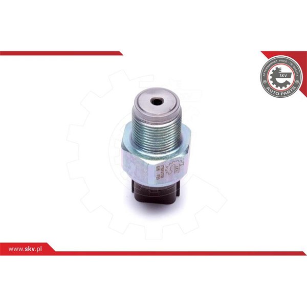 Sensor, bränsletryck Esen skv 17SKV738 ESEN SKV Sensor, bränsletryck Esen skv 17SKV738 ESEN SKV